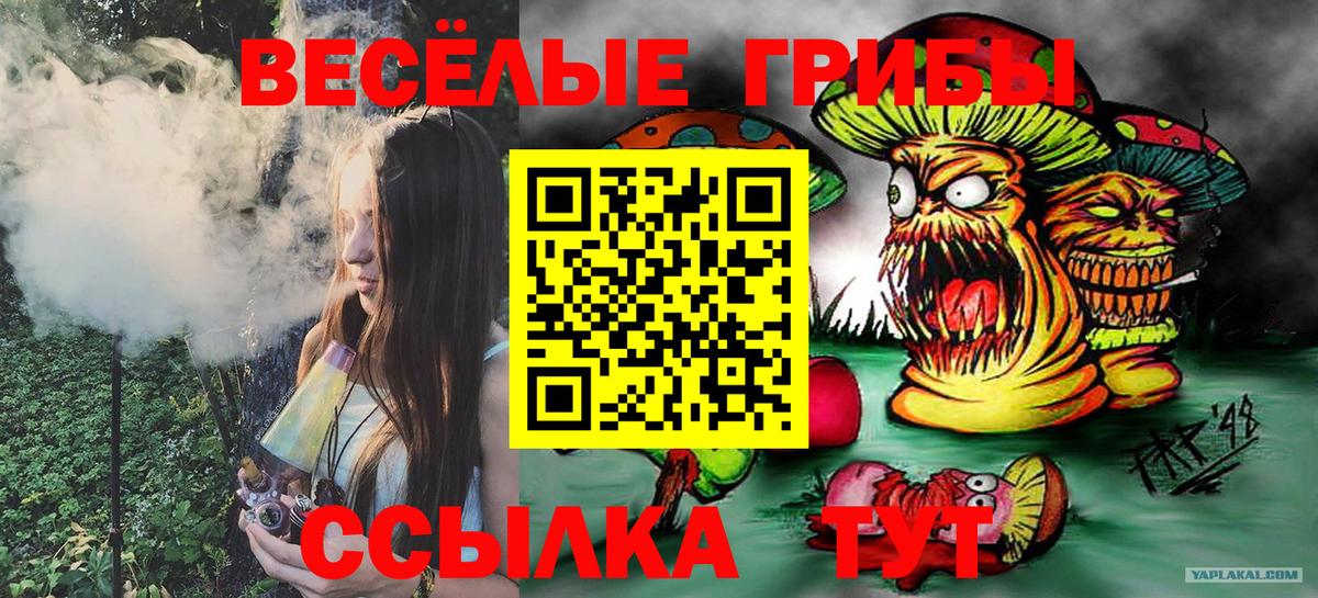 Псилоцибиновые грибы ЛСД Краснокаменск