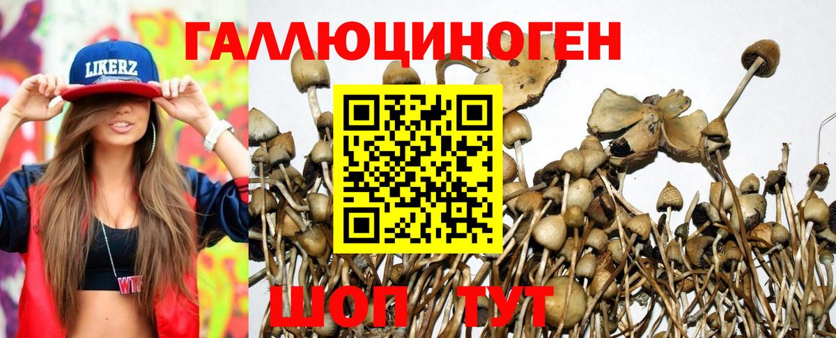 Кодеин Краснокаменск