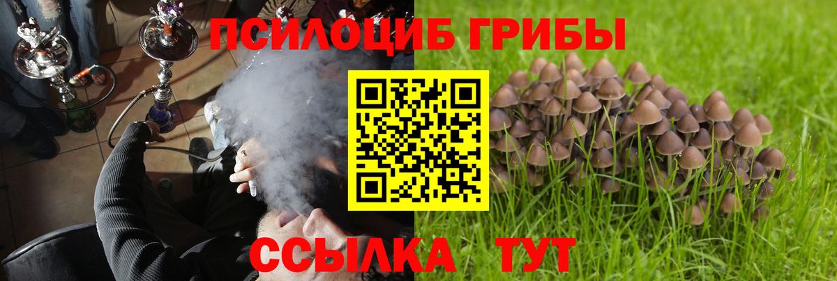 закладка  Псилоцибиновые грибы Cubensis  Вход с VPN  Краснокаменск 